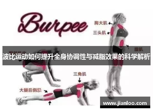波比运动如何提升全身协调性与减脂效果的科学解析